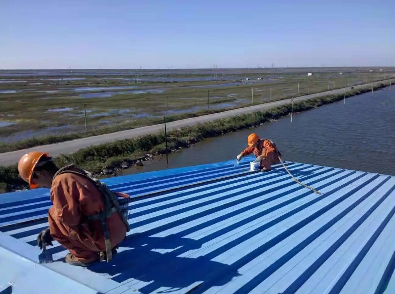 齐河钢结构屋面漏水原因